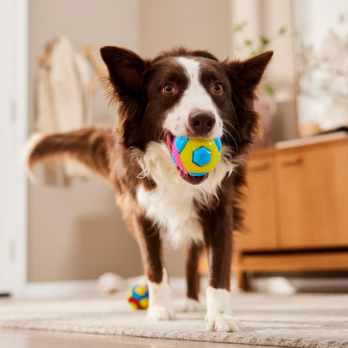 3 Inch Gum Massage Dog Toy Ball with Interactive Squeakers