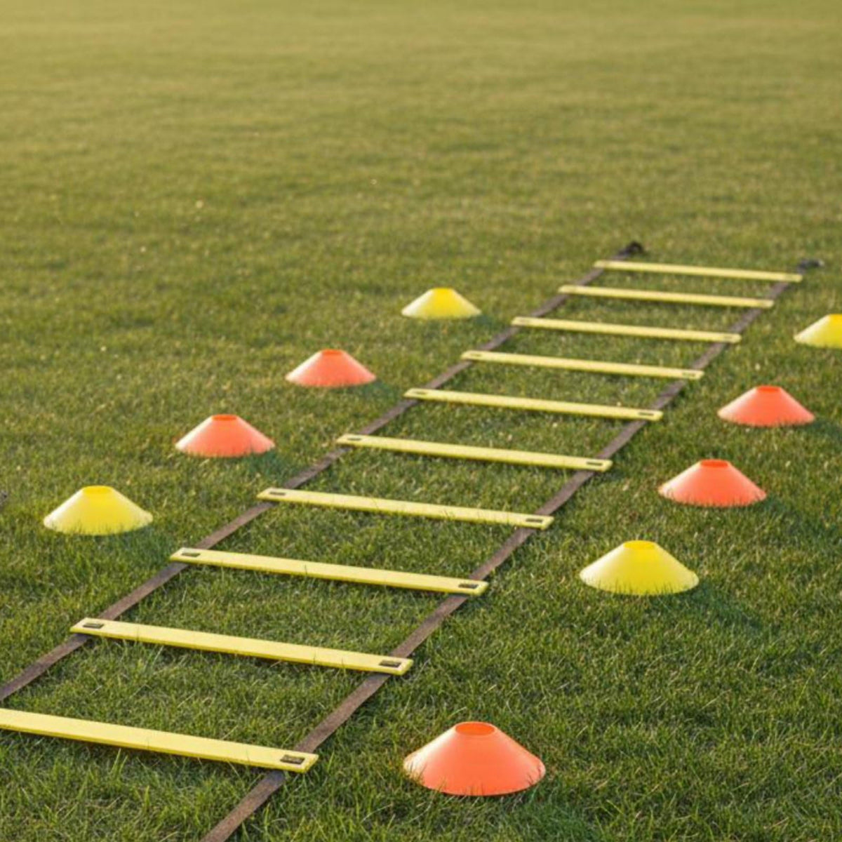 Agility Ladder Training Set with Jump Rope and Disc Cones