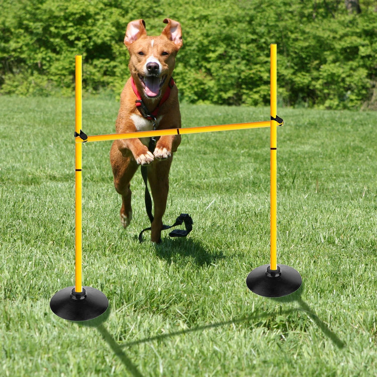 Adjustable Agility Hurdle and Training Pole Set
