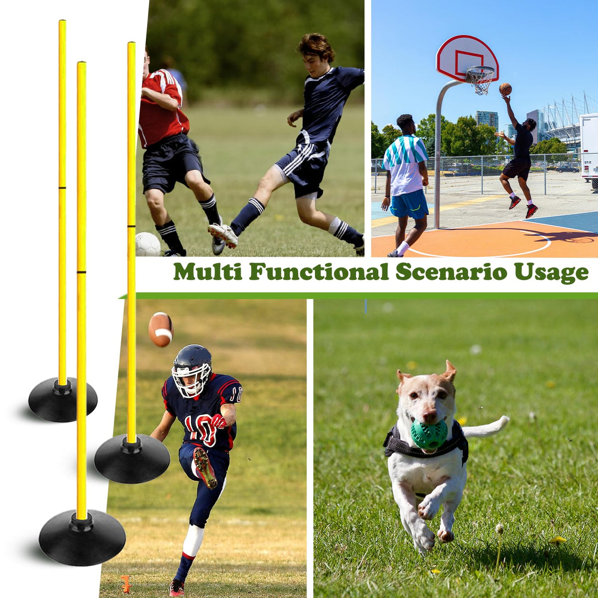 Agility Training Poles Set with Speed Ladder and Cones